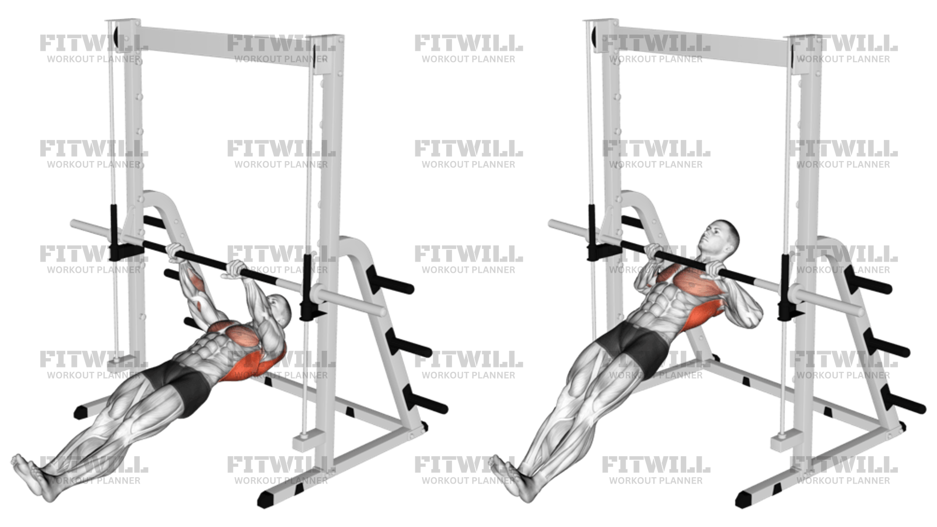 Inverted Row Exercise Video Fitwill