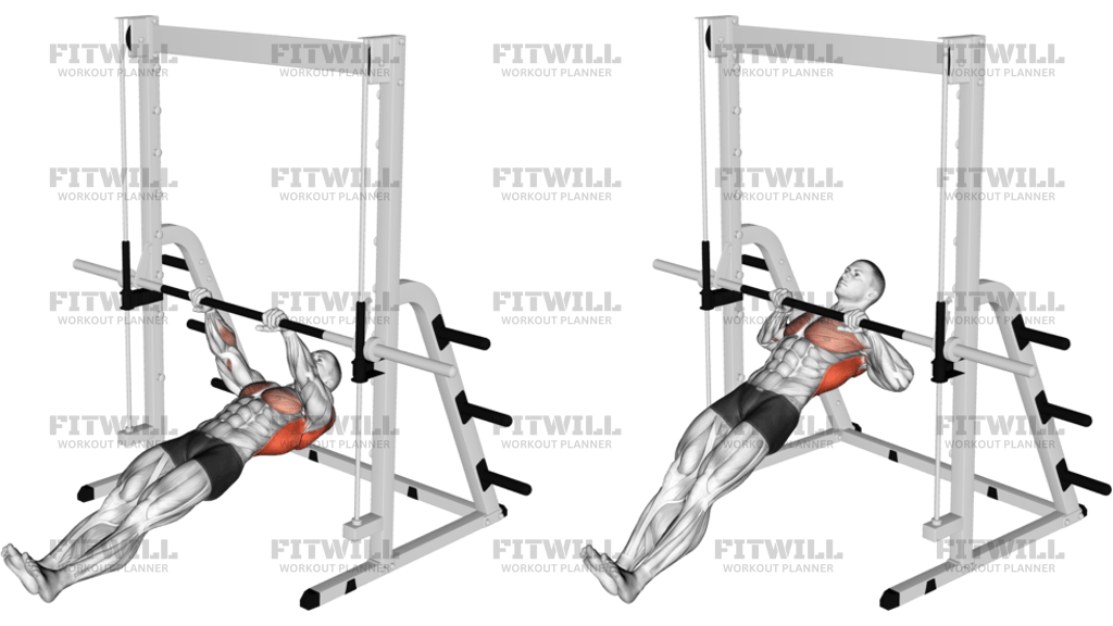 Inverted Row