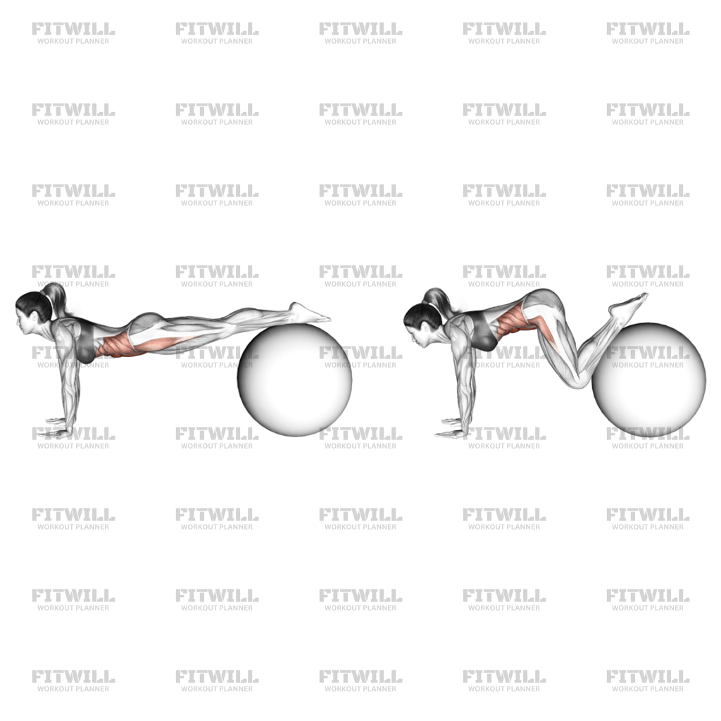 Ball jackknife exercise hotsell