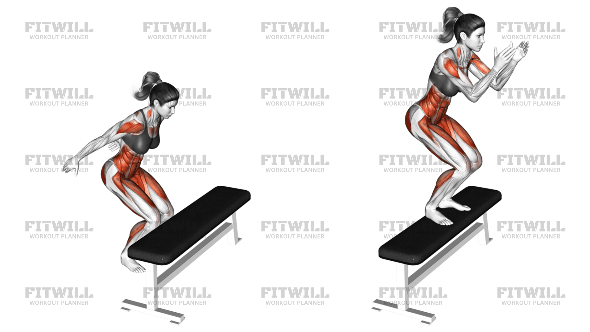 Jump Box: Exercise Guide, Video, Techniques, Benefits, How to, Muscles ...