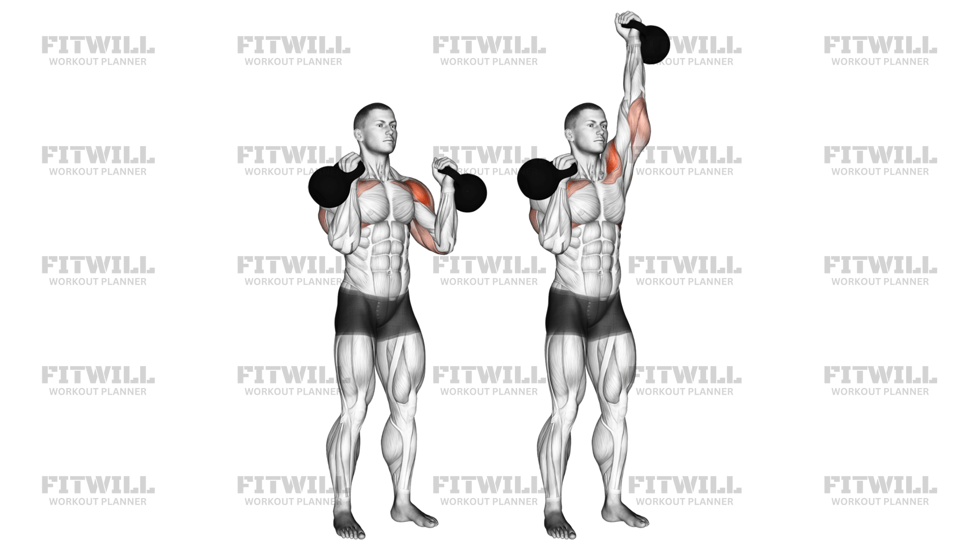 What Muscles Do Kettlebell Swings Work? Unlock Full Body Strength