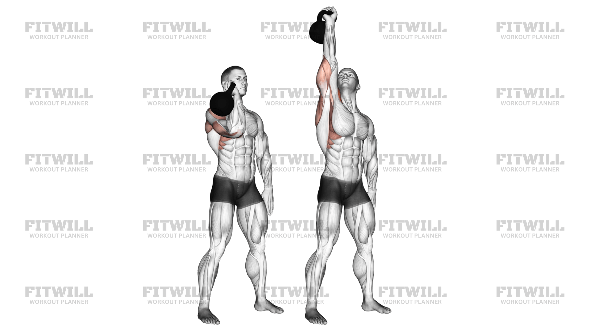 Kettlebell One Arm Military Press To The Side Exercise Video Fitwill