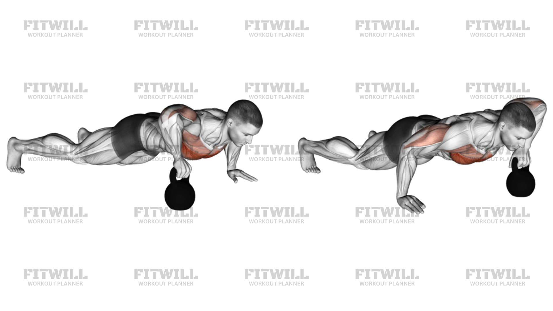 Kettlebell Plyo Push up Exercise Guide Techniques Benefits How to Muscles Worked Tips Tricks Fitwill