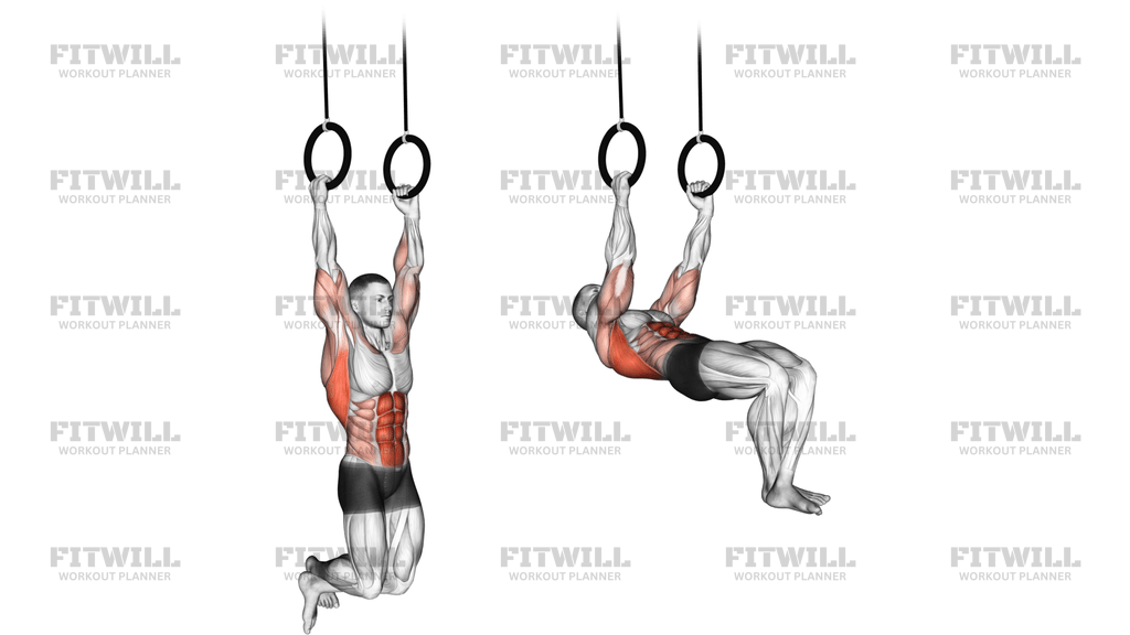Kipping Muscle Up