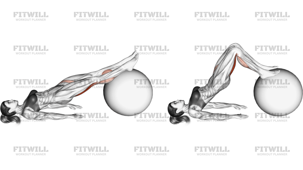 Leg Curl Su Stability Ball