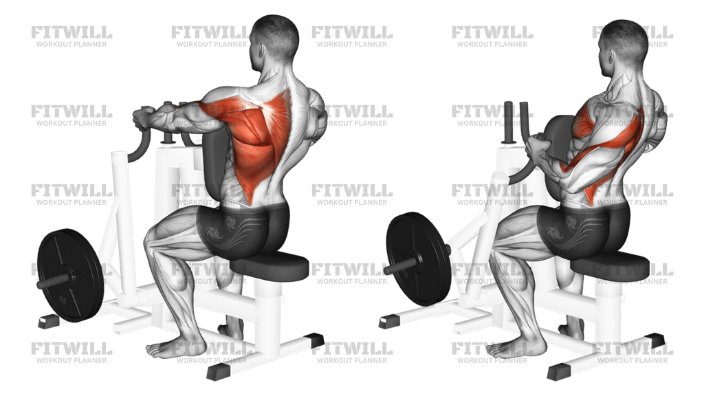 Lever Alternating Narrow Grip Seated Row plate Loaded Exercise Guide Video Techniques Benefits How to Muscles Worked Tips Tricks Fitwill