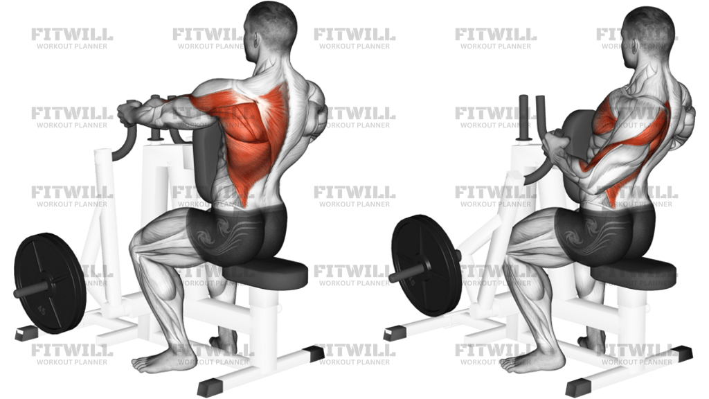 Lever Alternating Narrow-Grip Seated Row Plate Loaded