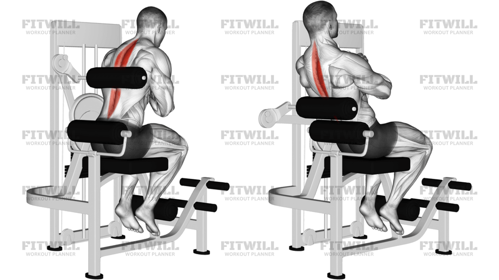 Lever Back Extension