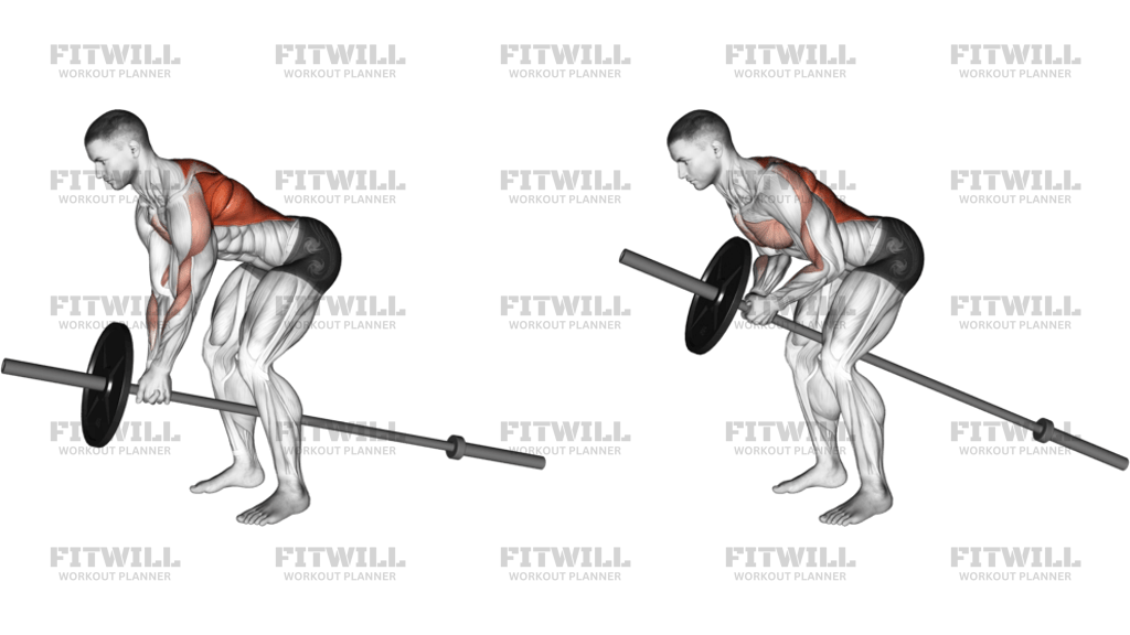 Landmine Lever Bent-Over Row Two Arms