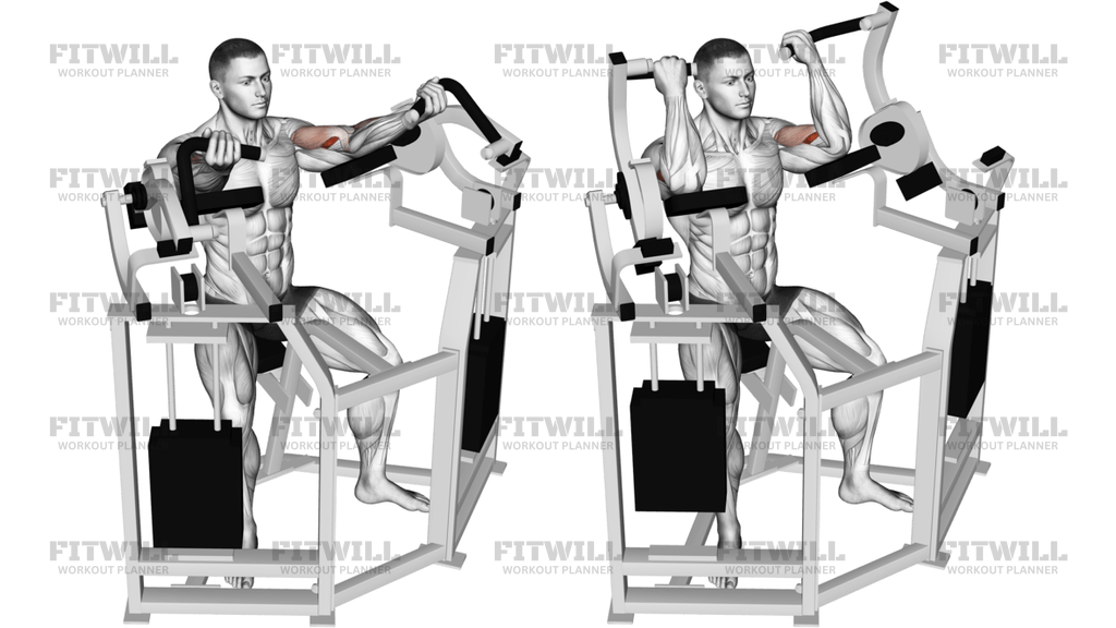Lever Bicep Curl