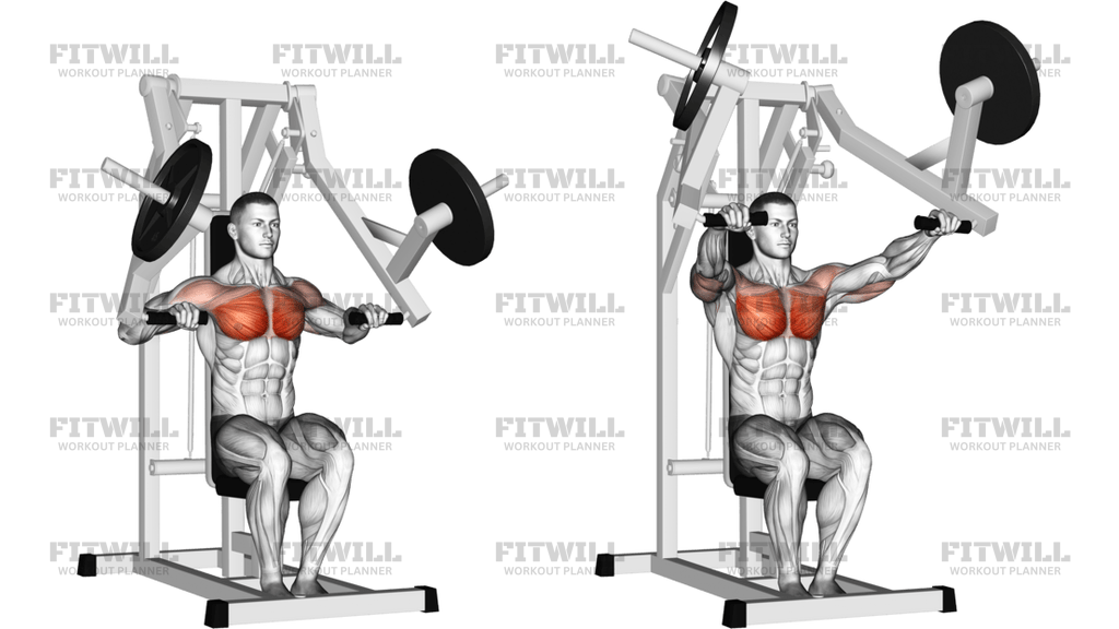 Lever Chest Press