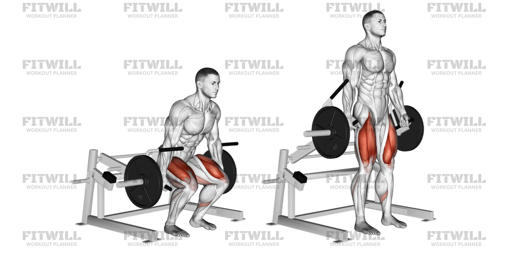 Full Lower Body Strength Workout Using Leverage and Barbell Equipment ...