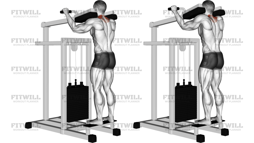 Lever Gripless Shrug