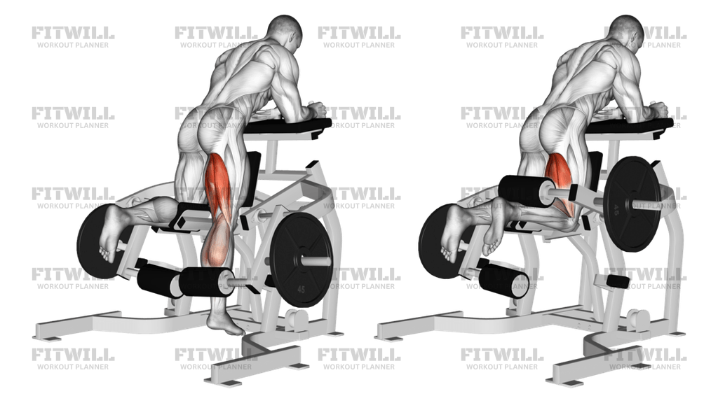 Flexão De Pernas Ajoelhado Na Máquina: Vídeo do Exercício | Fitwill