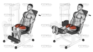 Lever Leg Extension