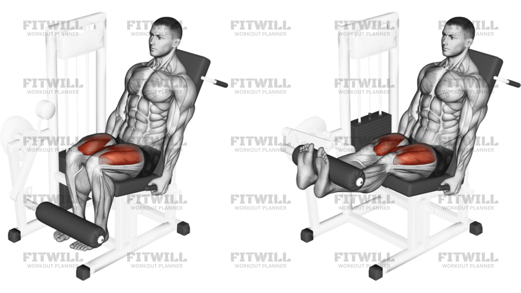 Lever Leg Extension
