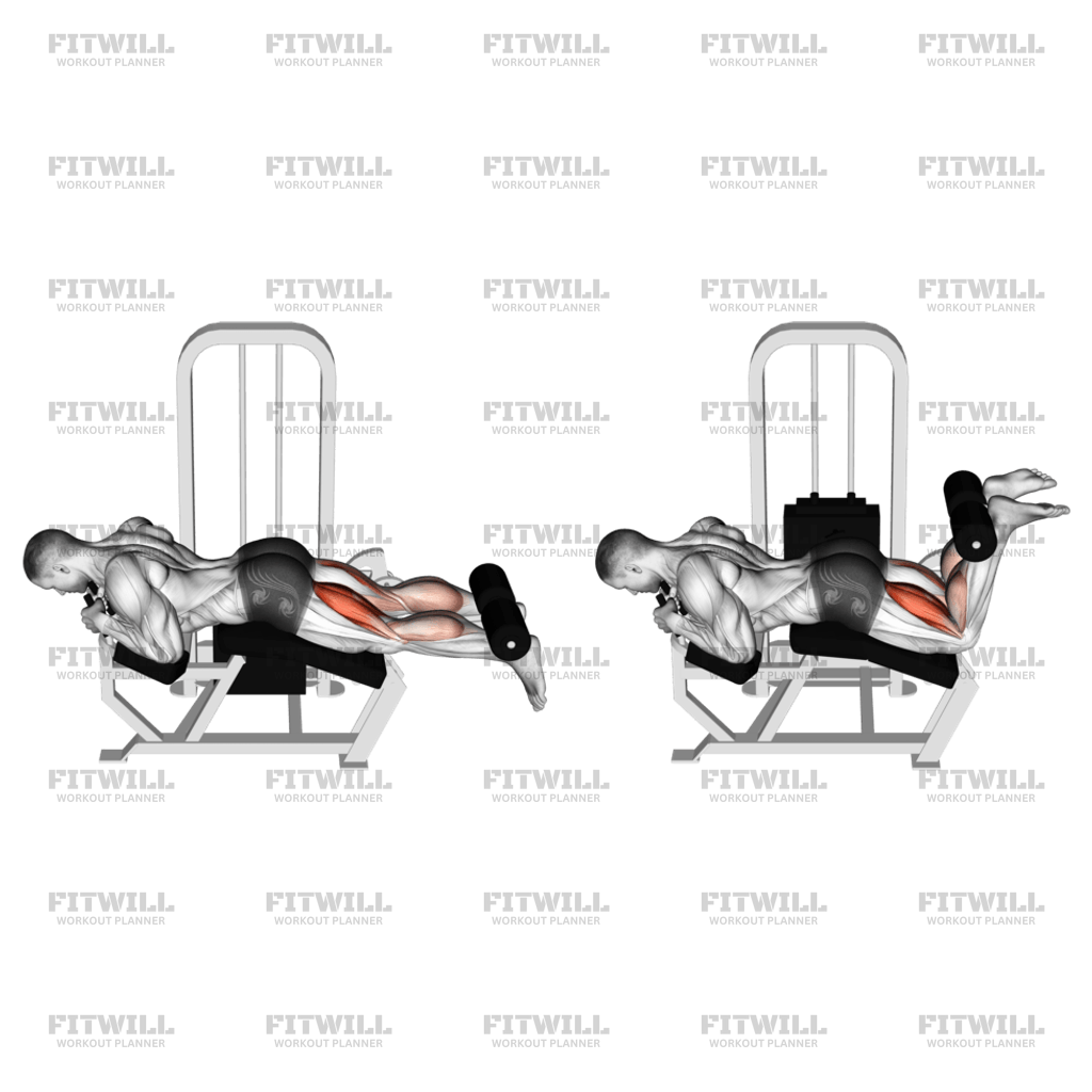 Lever Lying Leg Curl Exercise Guide Video Techniques Benefits How to Muscles Worked Tips Tricks Fitwill