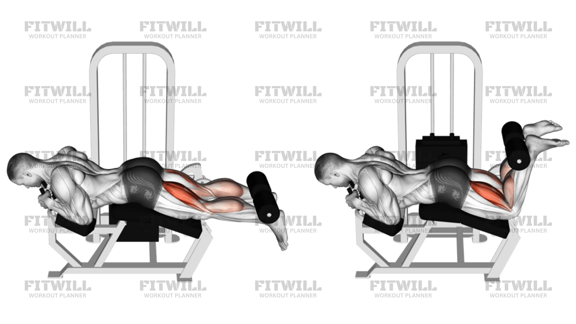 Bench press with hotsell leg extension and hamstring curl