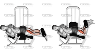Lever Lying Leg Curl