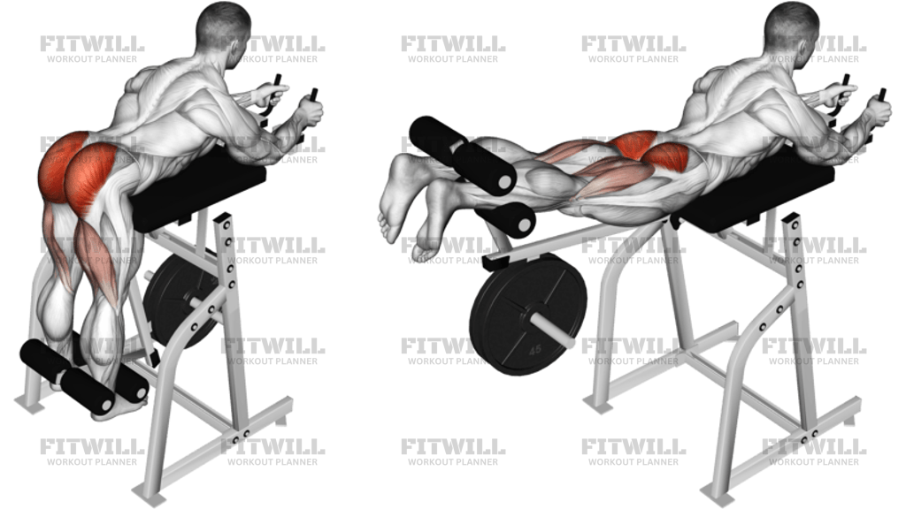 Lever Reverse Hyperextension Plate Loaded