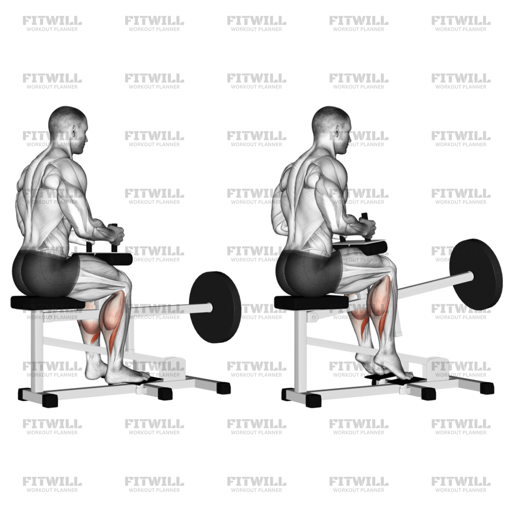 Lever Seated Calf Raise Exercise Guide Video Techniques Benefits How to Muscles Worked Tips Tricks Fitwill