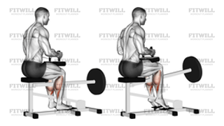 Lever Seated Calf Raise