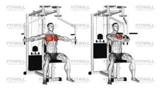 Lever Seated Fly