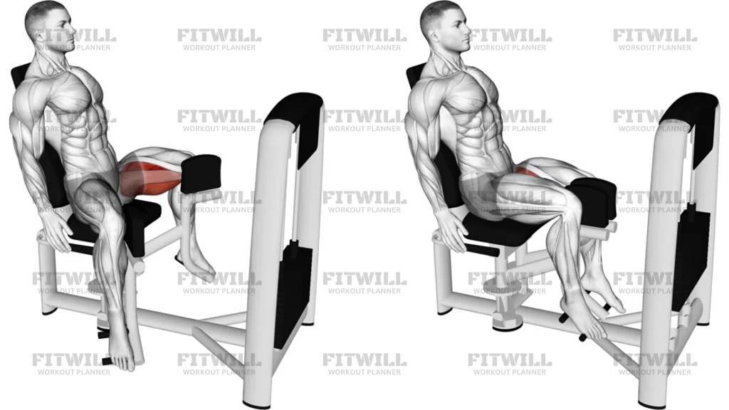 Adduction Des Hanches À La Machine Assise