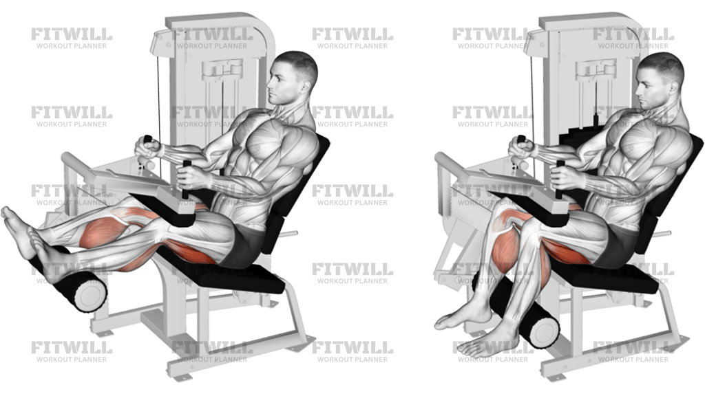Lever Seated Leg Curl