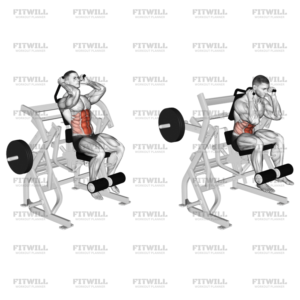 Lever Seated Leg Raise Crunch plate Loaded Exercise Guide Video Techniques Benefits How to Muscles Worked Tips Tricks Fitwill