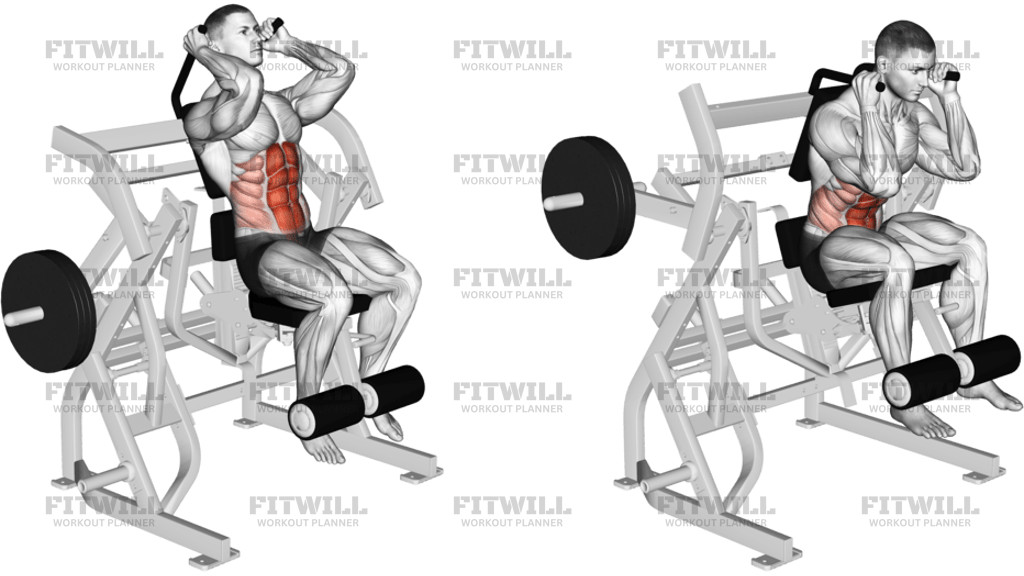 Lever Seated Leg Raise Crunch Plate Loaded