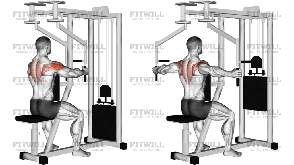 Lever Seated Reverse Fly Parallel Grip