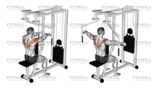 Lever Seated Reverse Fly