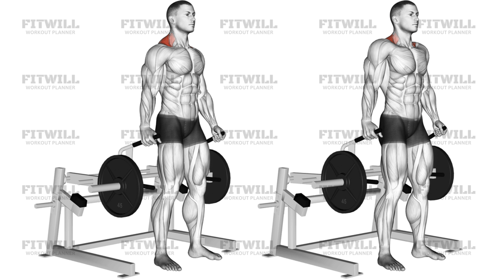 Lever Shrug Plate Loaded