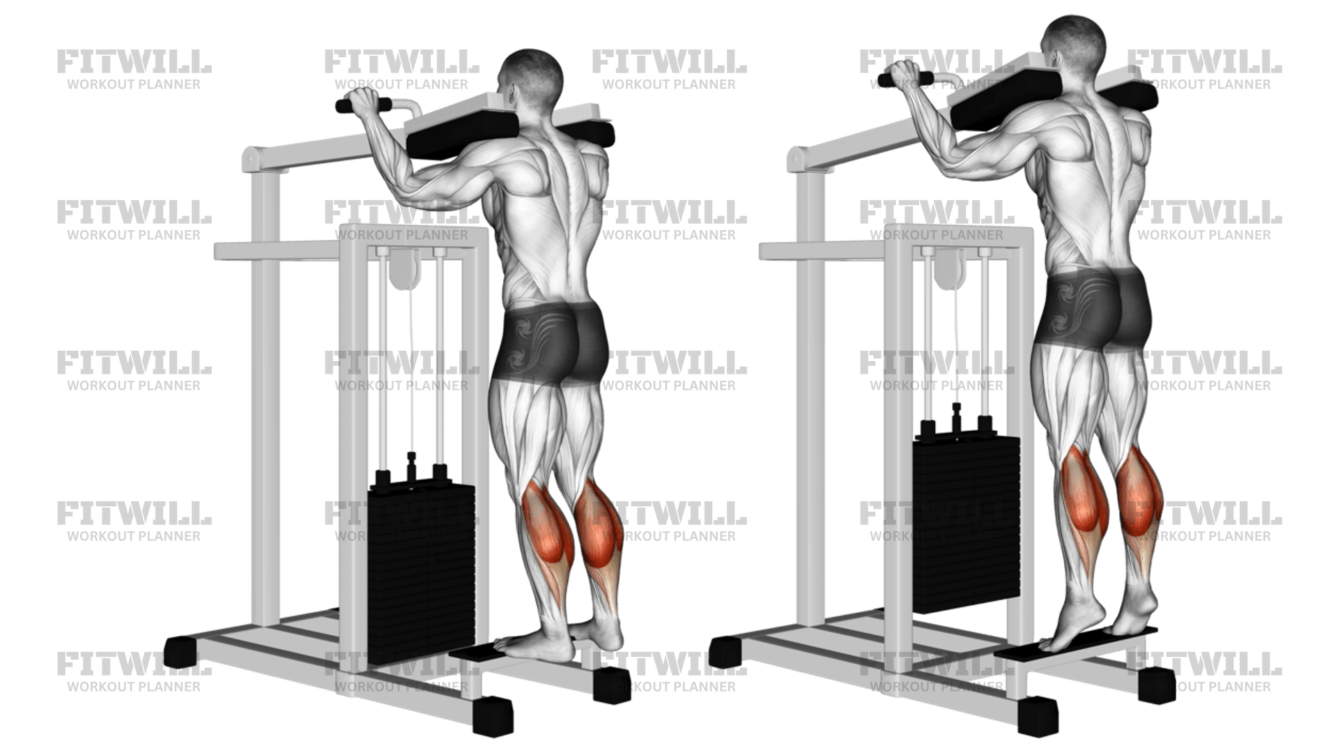 Reverse calf raise machine hotsell