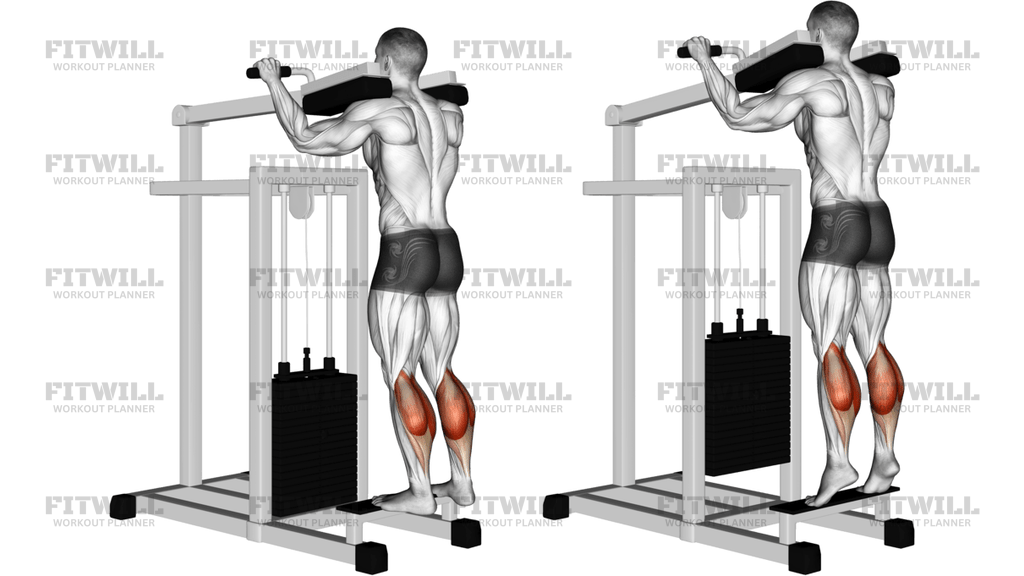 Lever Standing Calf Raise