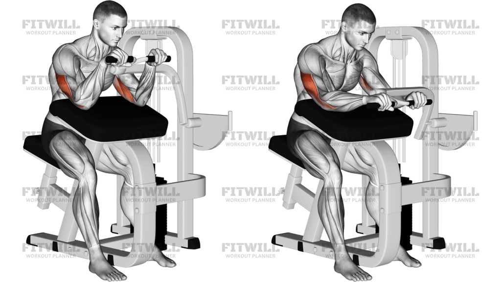 Lever Triceps Extension