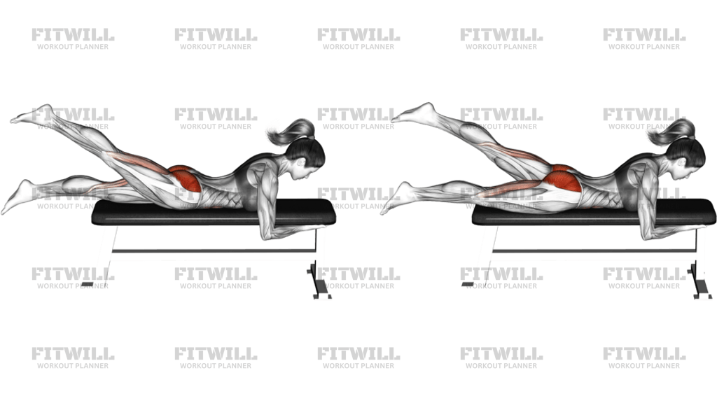 Lying Alternate Hip Extension