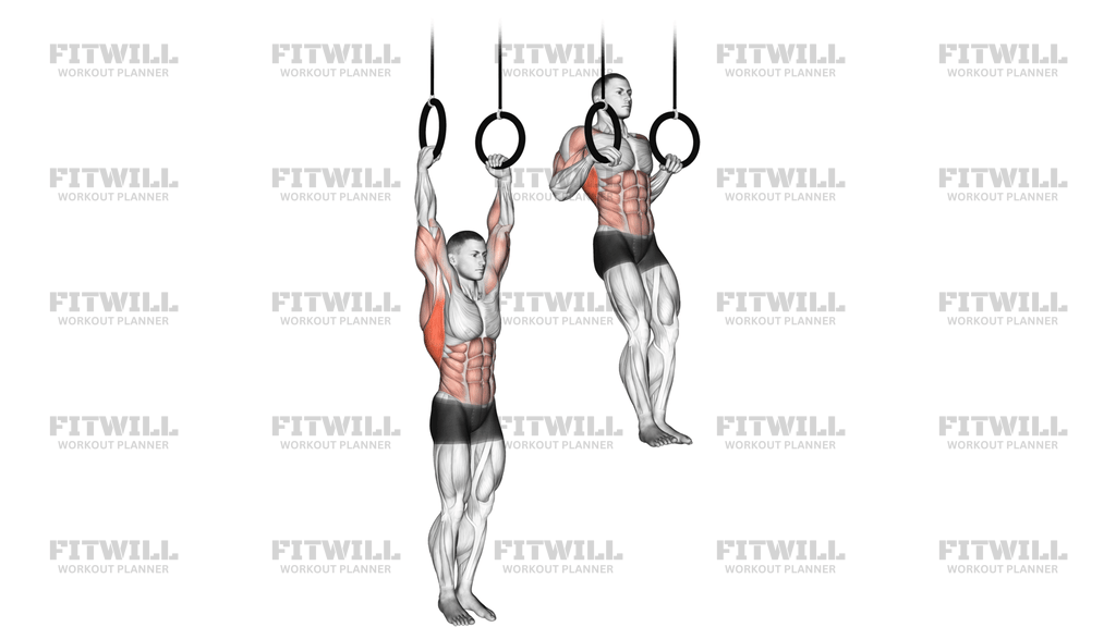 Muscle Up