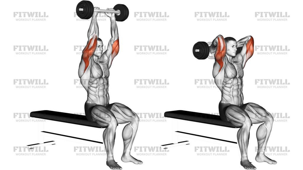 Olympic Barbell Triceps Extension