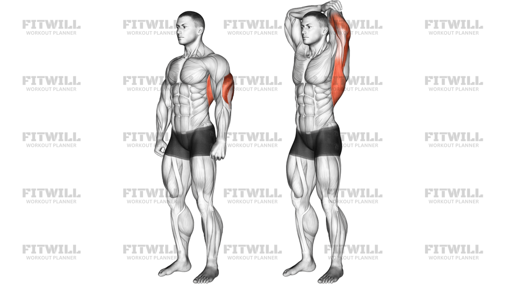 Overhead Triceps Stretch