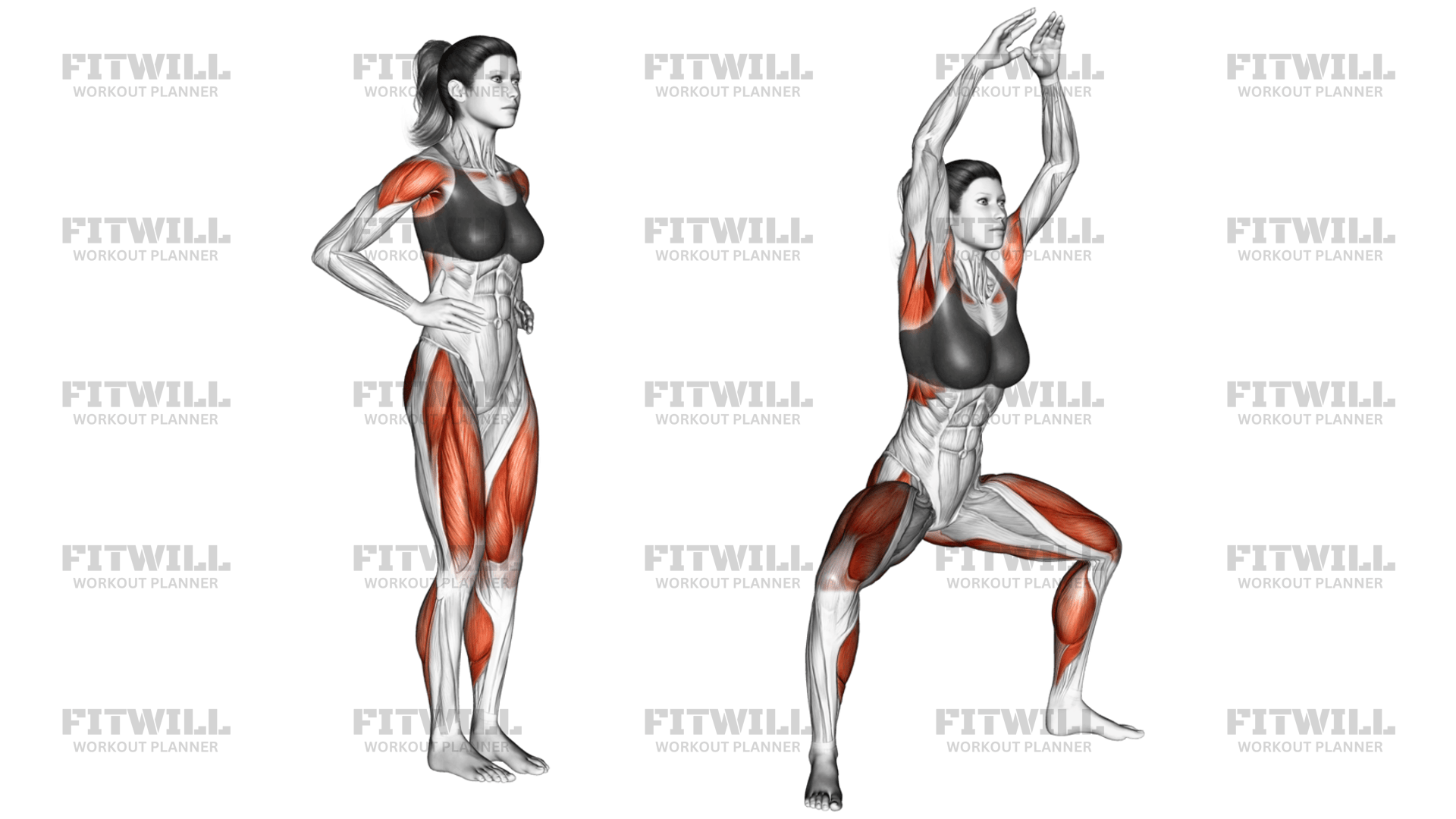 Plyo Jacks: Exercise Guide, Techniques, Benefits, How to, Muscles ...