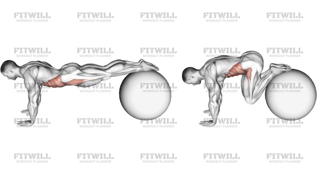 Pull-In On Stability Ball