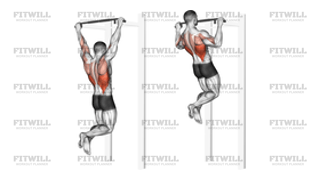 Pull-Up