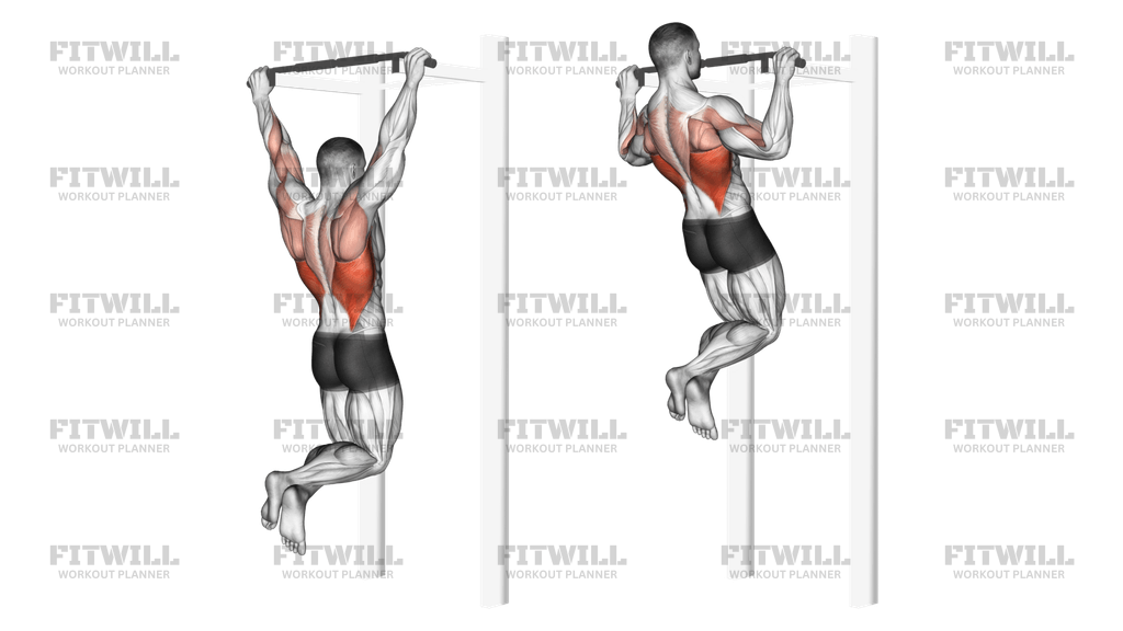 Pull up workout schedule hotsell