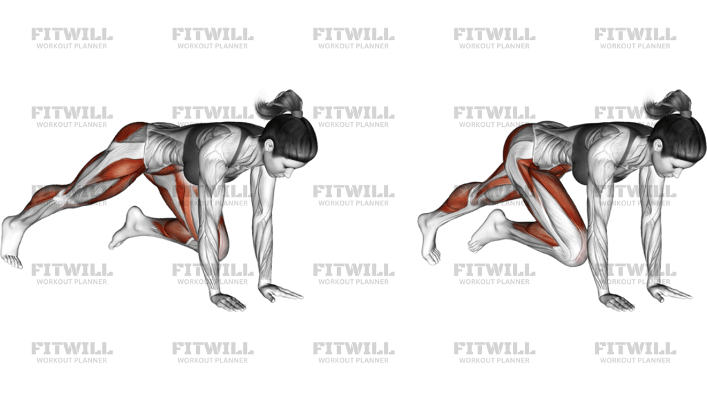 Push-Up Knee Chest