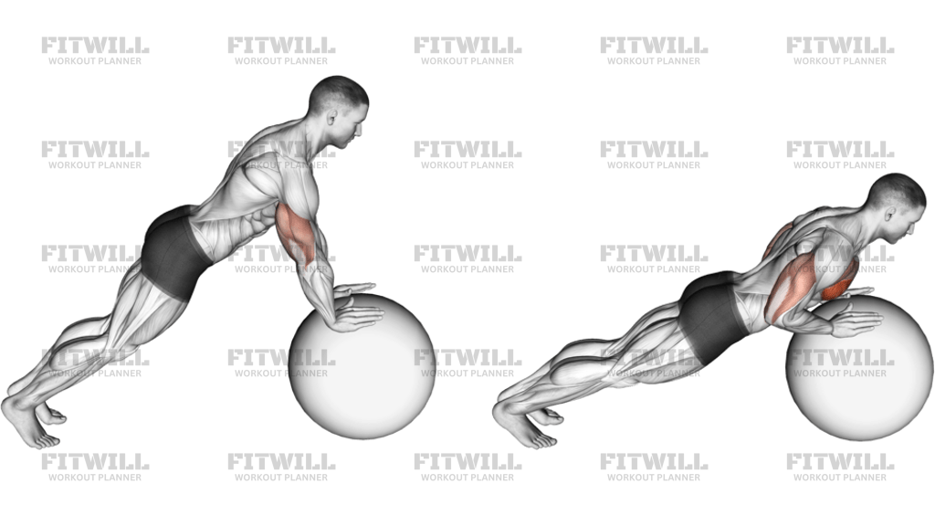 Armhävning På Pilatesboll