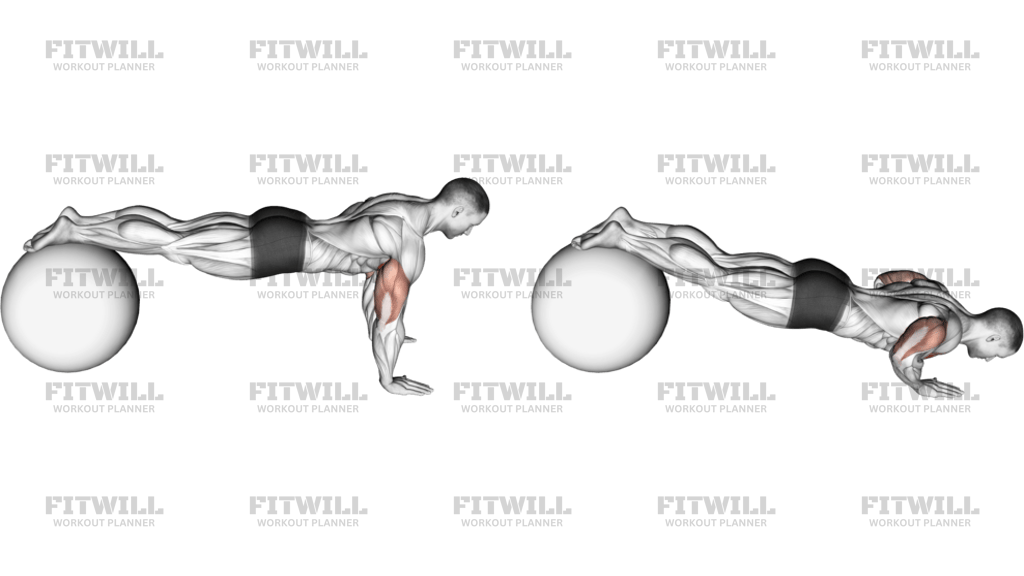 Push-Up On Stability Ball