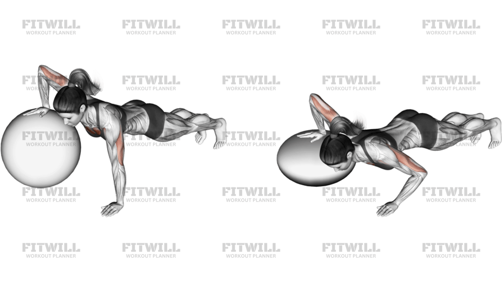 Push-Up One-Arm On Stability Ball