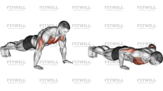 Push-Up